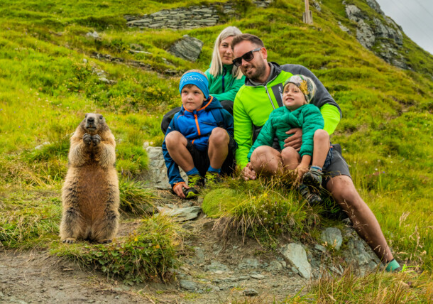     Hiking in the Grossglockner region - family with marmot 